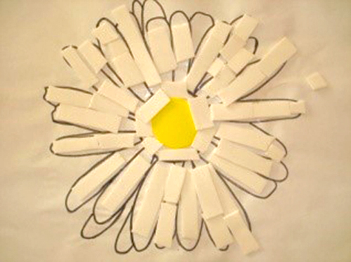 shasta daisy collage